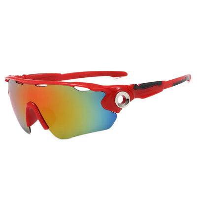 Polarized Sunglasses